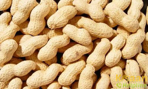 आरजी-425 (RG-425)